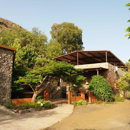 Willa Peaceful House Set On A Vineyard & Work Friendly Valsequillo Zewnętrze zdjęcie